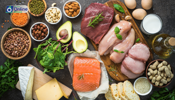 Lesson 04: The Building Blocks of Nutrition: Carbohydrates, Proteins, and Fats